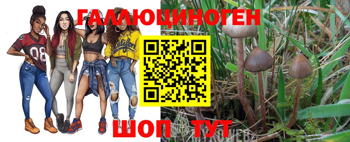 Галлюциногенные грибы Magic Shrooms Елизово